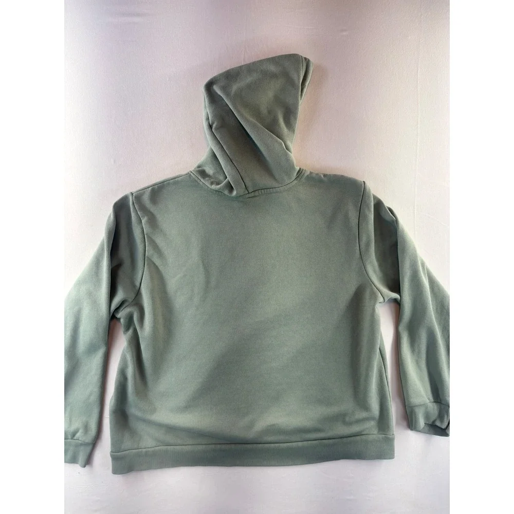 The North Face Circular Design Hoodie Sage Green Graphic Logo Pullover Mens XL